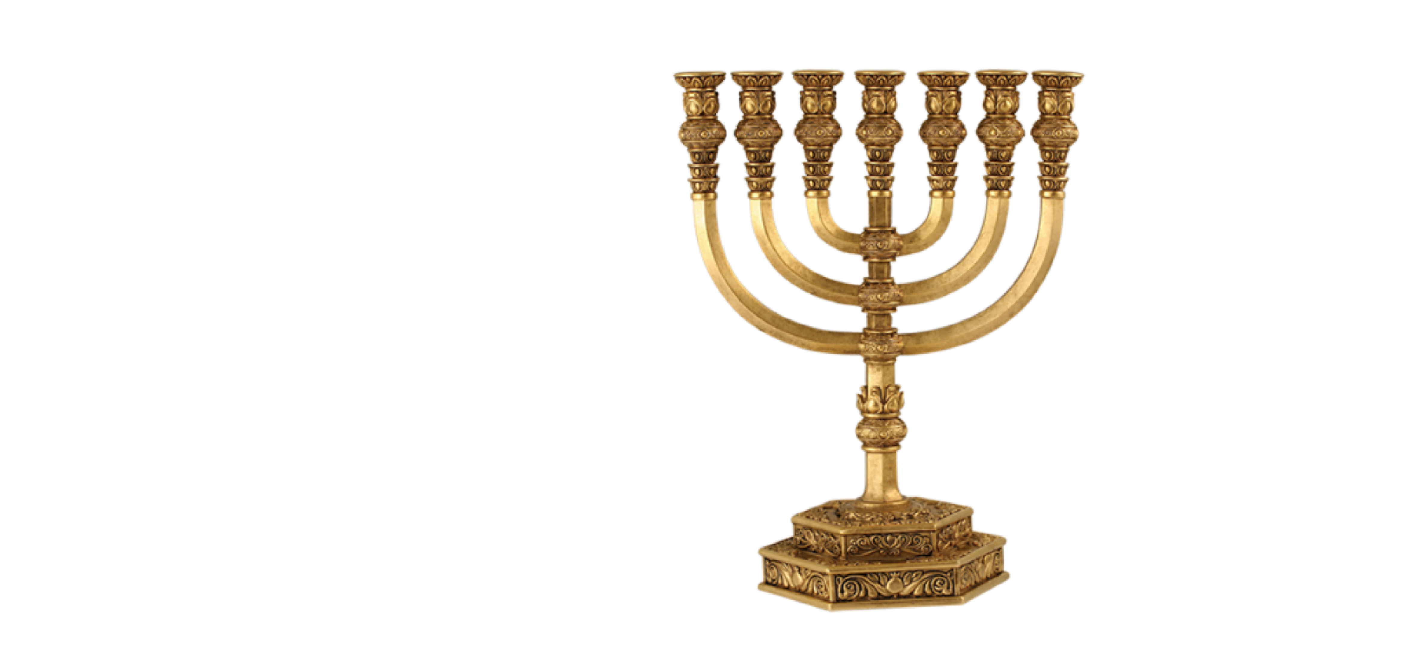 Proyecto Vida